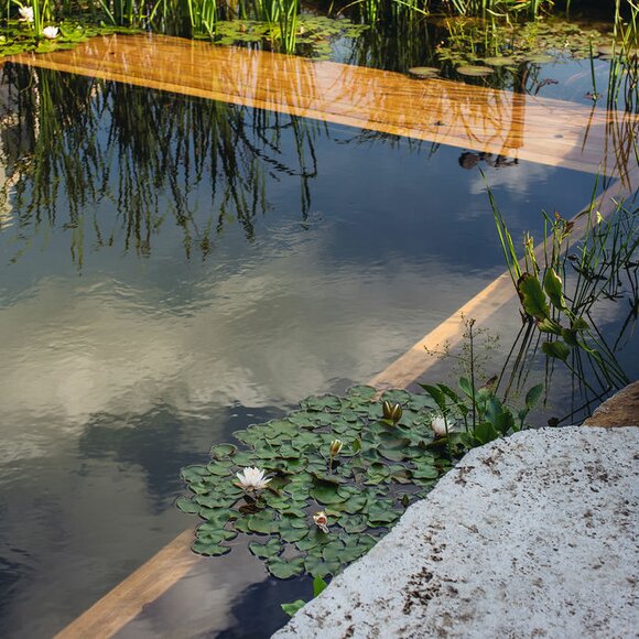 Schwimmteich mit Holzbecken und Gegenschwimmanlage von Binder Hydrostar | © Biegert GmbH, Leingarten