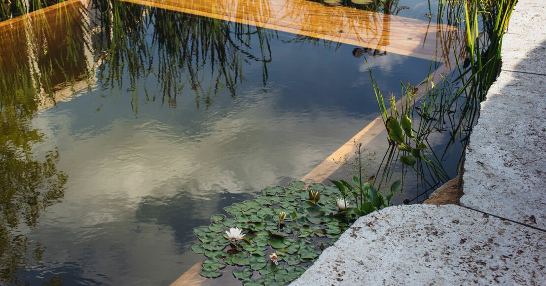 Schwimmteich mit Holzbecken und Gegenschwimmanlage von Binder Hydrostar | © Biegert GmbH, Leingarten